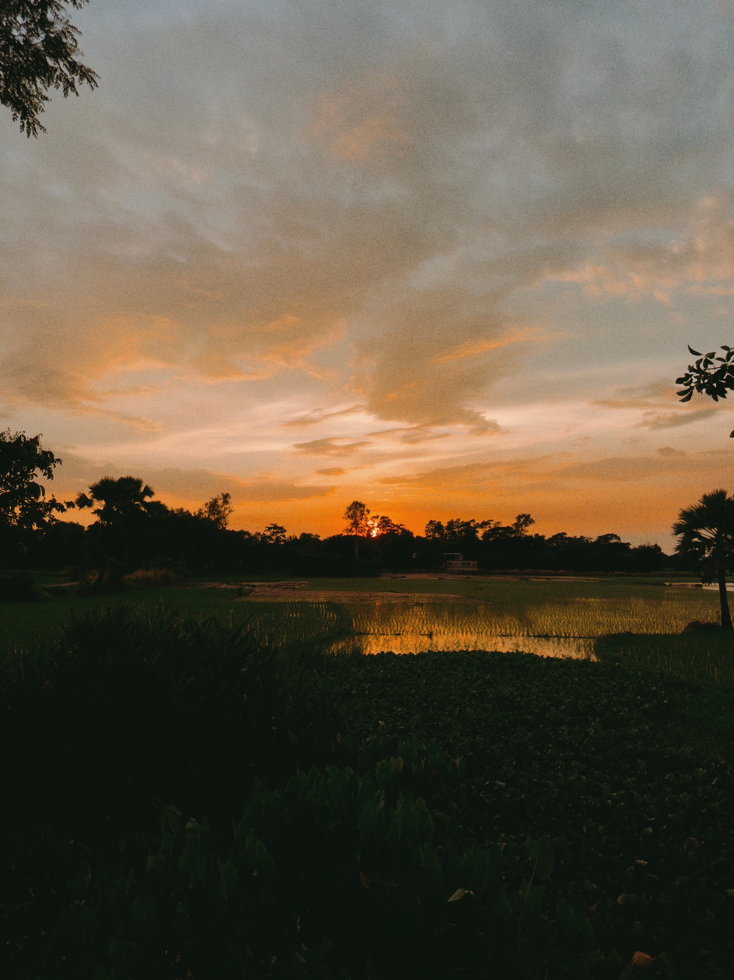 Twilight Reflections