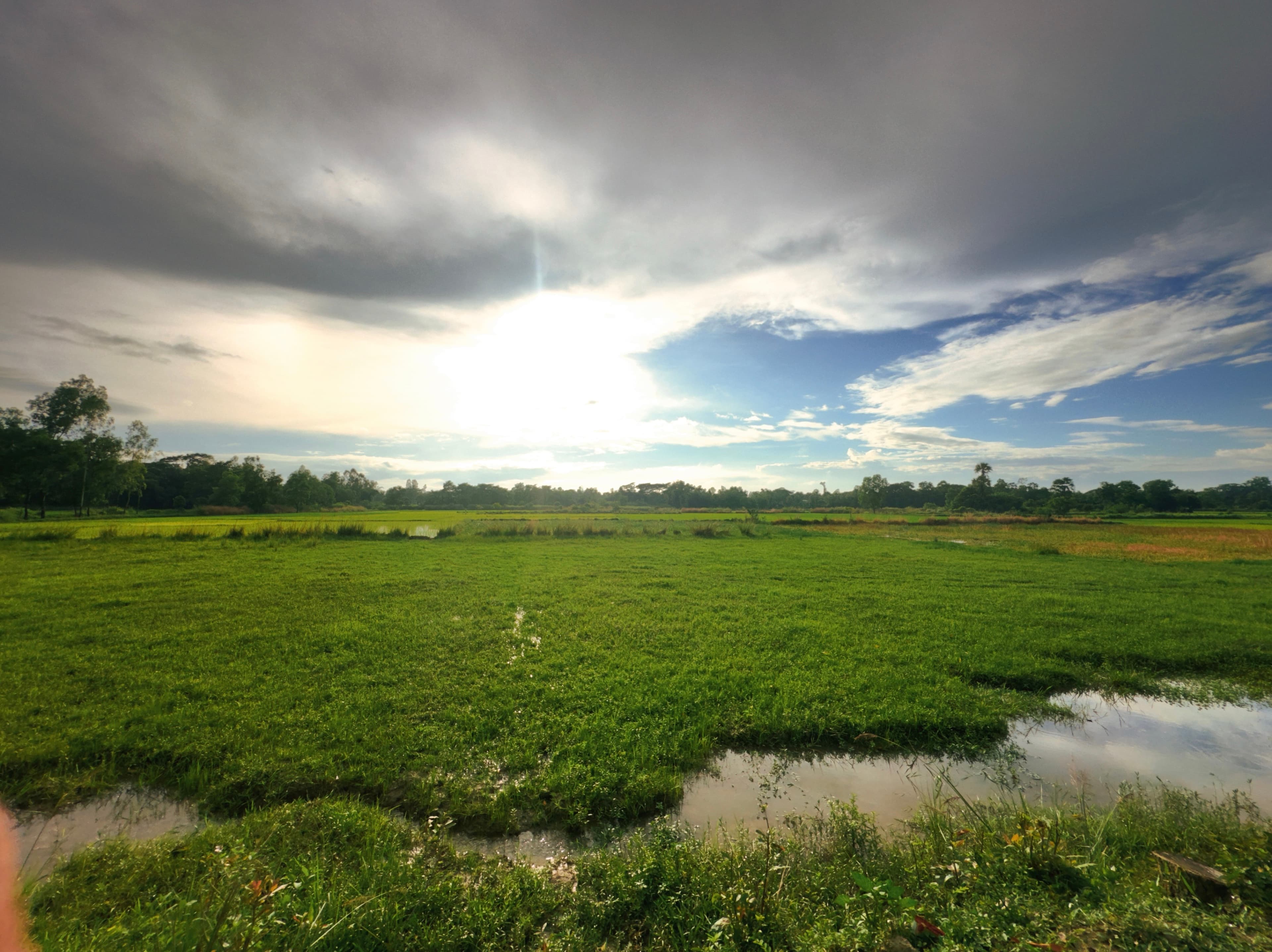 Stormlit Meadow
